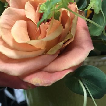 Williams Flower & Gift - Florists Near Me - Port Orchard, Washington Williams Flower & Gift - Florists Near Me - Port Orchard, Washington
