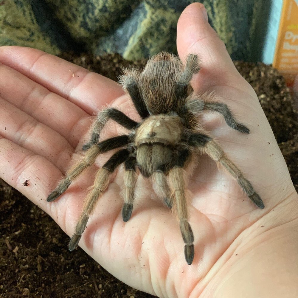Isn't she lovely?