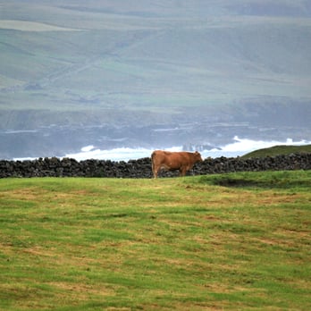 Atlantic View Bed & Breakfast - View from our room - Bed & Breakfast Near Me - Doolin, CE