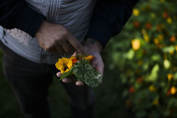 Tu Tu' Tun Lodge by null