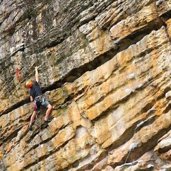 Blue Ridge Mountain Guides - Rock Climbing at the New River Gorge!