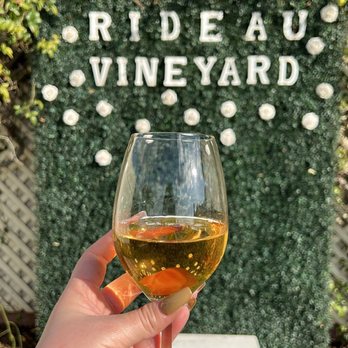 Rideau Vineyard - Wine Tasting Room Near Me - Solvang, California