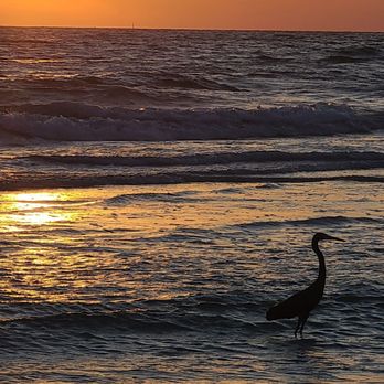 Siesta Key Beach - Beaches Near Me - Sarasota, Florida