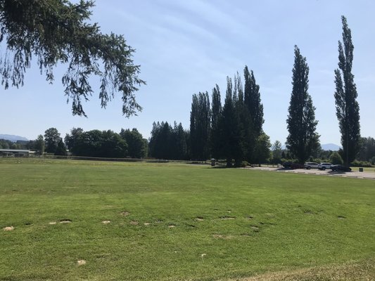 Tolt-MacDonald Park & Campground by null