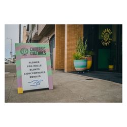 Cannabis Cultures