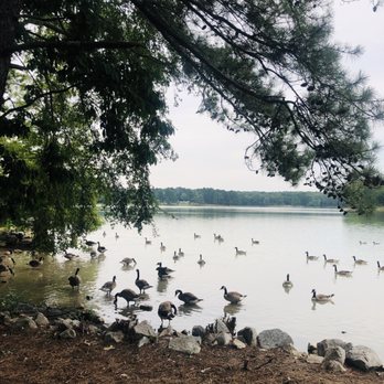 Craighead Forest Park - Parks Near Me - Jonesboro, Arkansas