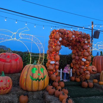 JACK’S PUMPKIN POP-UP - Updated October 2024 - 309 Photos & 152 Reviews