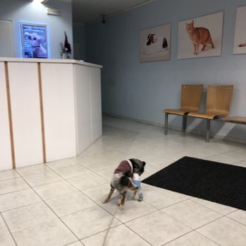 Veterinary Clinic on Hůrce