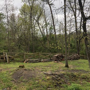 Landscape and Drainage Services - Trees cut down - Landscaping Near Me - Vienna, Virginia Landscape and Drainage Services - Trees cut down - Landscaping Near Me - Vienna, Virginia