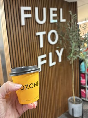 Queenstown Airport by null