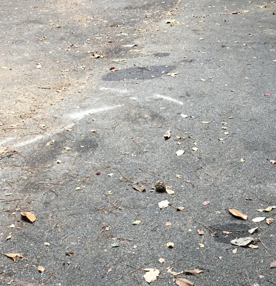 Robinson Tree Service - tree service in Memphis, TN