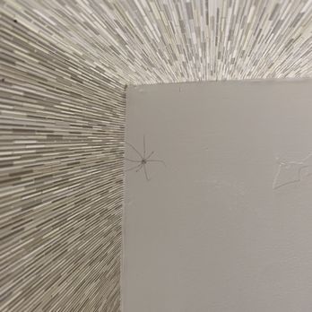 Bahia Resort Hotel - Spider, refrigerator stains - San Diego, CA