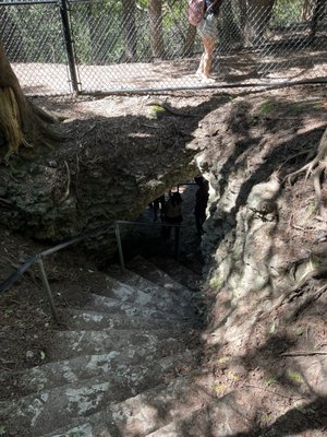Elora Gorge Conservation Area by null
