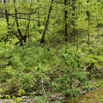 Twin Creek MetroPark - Hiking Near Me - Germantown, Ohio