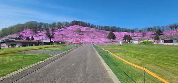 Higashimokoto Shibazakura Park by null