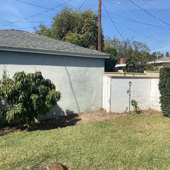 Al’s Tree Care - After picture - Tree Services Near Me Al’s Tree Care - After picture - Tree Services Near Me