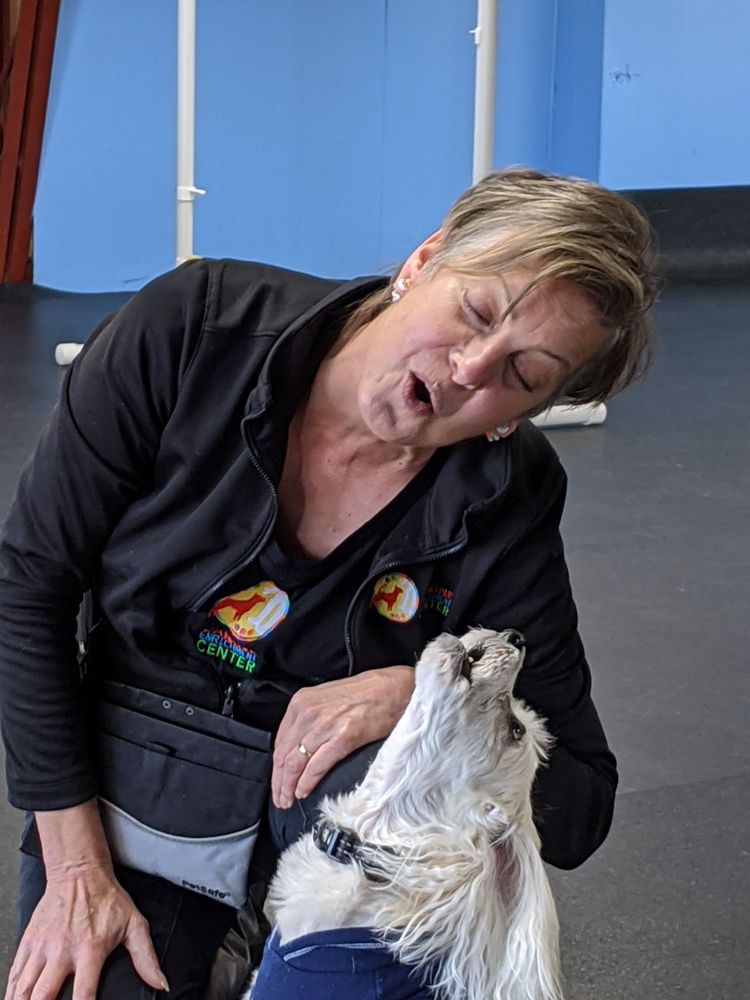 CANINE ENRICHMENT CENTER with photos Updated August 2024 15 Photos