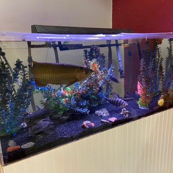 Ramada by Wyndham Arcata - Big fish in a small tank. This is animal abuse. - Hotels Near Me - Arcata, California Ramada by Wyndham Arcata - Big fish in a small tank. This is animal abuse. - Hotels Near Me - Arcata, California