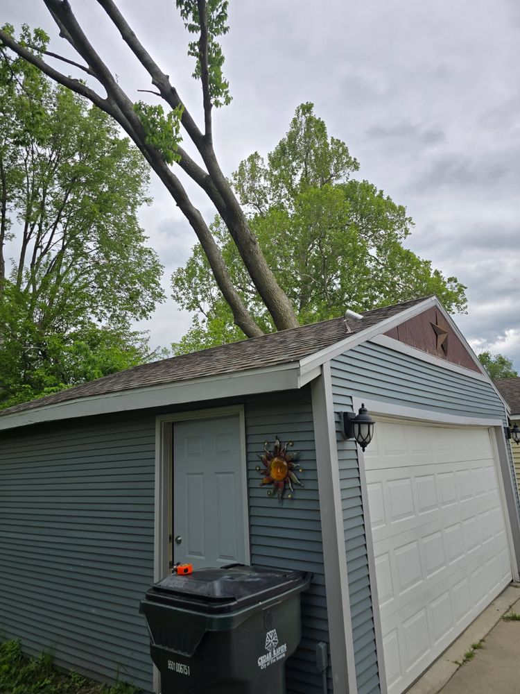 Big Richard Tree Service - tree service in Cedar Rapids, IA