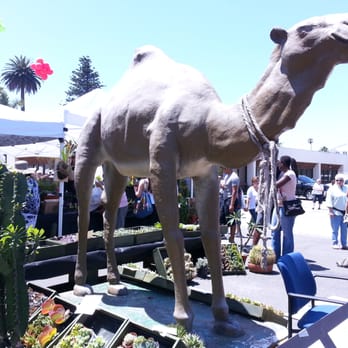 Oxnard Salsa Festival - Festivals Near Me - Oxnard, California