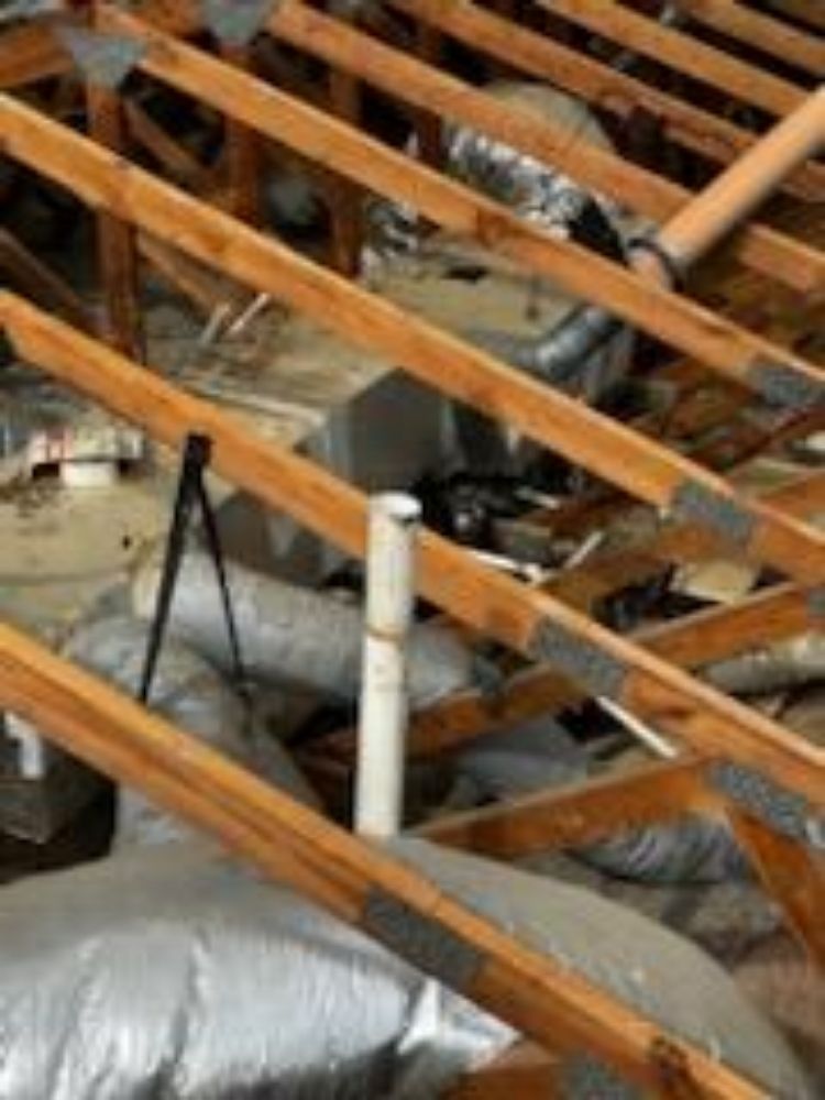 Slide of Reindeer Roofing