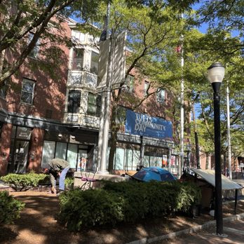 Saigon Tiger - Davis square - Vietnamese Near Me - Somerville, Massachusetts