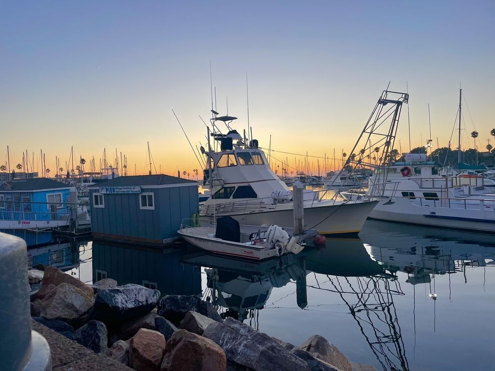 Harbor Fish & Chips