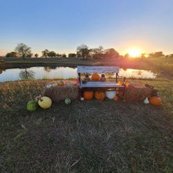 Cobbins Family Pumpkin Patch - Just another beautiful day at The Patch!