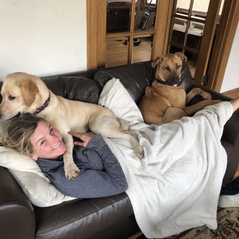 Barking About Town - Dog Walkers Near Me Barking About Town - Dog Walkers Near Me