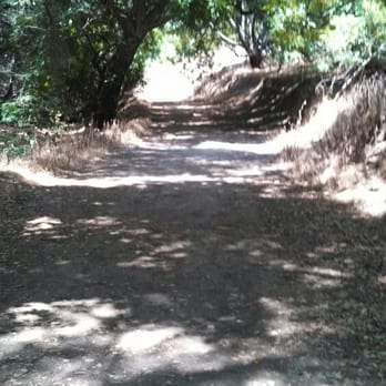 Powder Canyon - The only shade around on Powder Canyon Trail - Hiking Near Me - La Habra Heights, California Powder Canyon - The only shade around on Powder Canyon Trail - Hiking Near Me - La Habra Heights, California