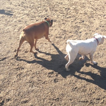 Harry Griffen Dog Park - Pet Services Near Me - La Mesa, California