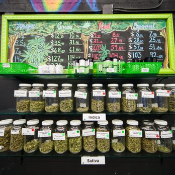 Green Tree Medicinals - Example of strain selection available - Cannabis Dispensaries Near Me - Northglenn, Colorado Green Tree Medicinals - Example of strain selection available - Cannabis Dispensaries Near Me - Northglenn, Colorado