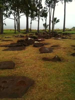 Kukaniloko Birth Stones by null