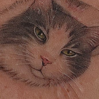 Paw Tattoo - Incredible detail...his face is a little over an inch big - Tattoo Near Me - San Mateo, California Paw Tattoo - Incredible detail...his face is a little over an inch big - Tattoo Near Me - San Mateo, California