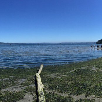Dash Point State Park - Parks Near Me - Federal Way, Washington Dash Point State Park - Parks Near Me - Federal Way, Washington