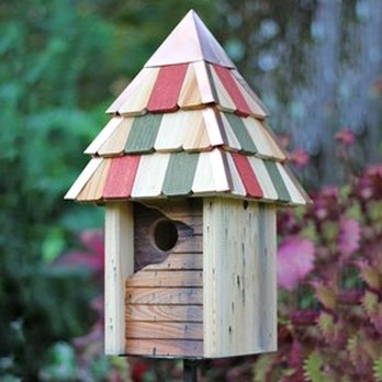 The Backyard Bird Feeder - Pet Stores Near Me - Bethesda, Maryland