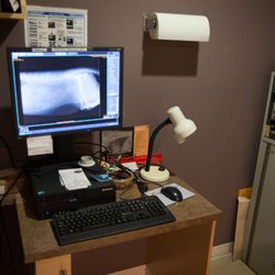 Departure Bay Veterinary Hospital - Photo