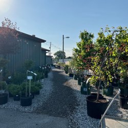 John Lasley Outdoor Solutions