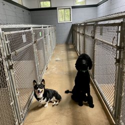 Timberview Kennels