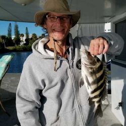 Florida Houseboat Vacations - DIFFERENT SPECIES OF FISH