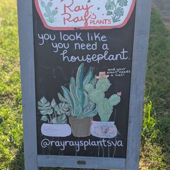 Ray Ray Plants - Men's Clothing Near Me - Williamsburg, Virginia