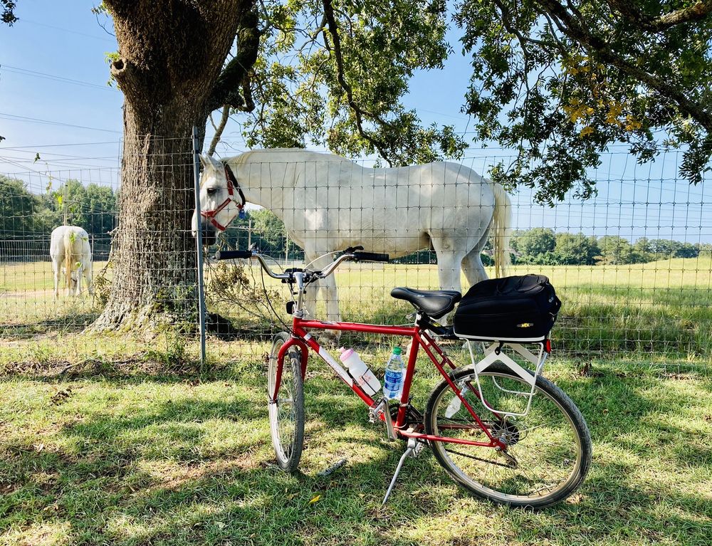 BIKE SHOP Updated September 2024 147 N College St, Auburn, Alabama