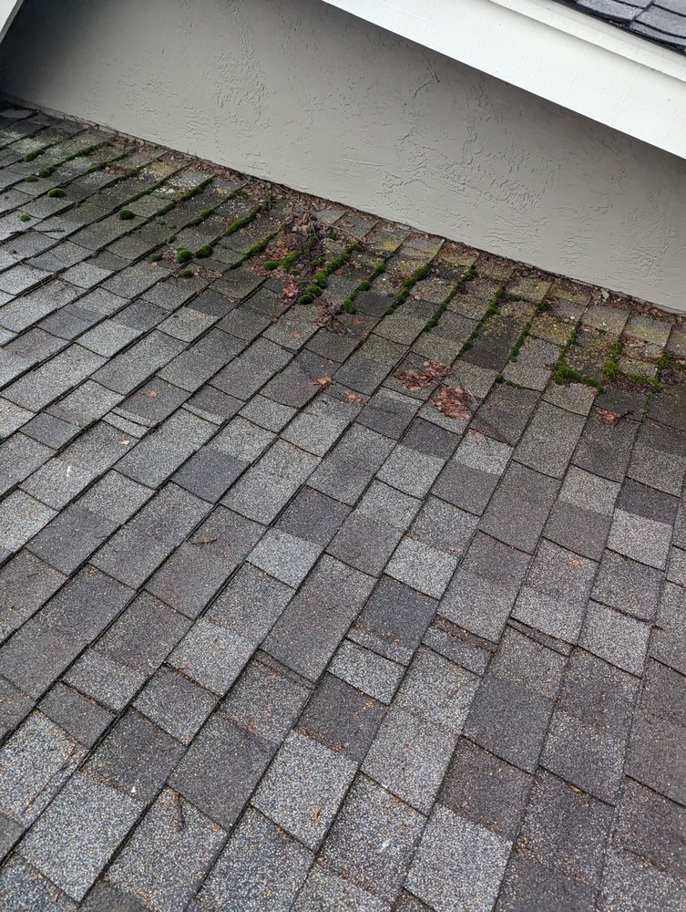 Slide of Total Package Roofing