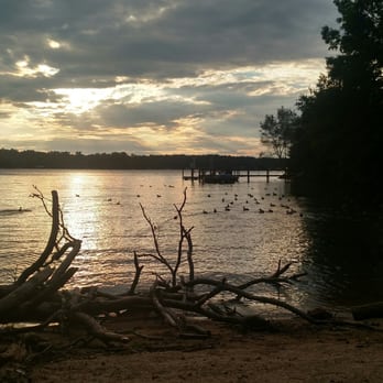 Copperhead Island - Duck nesting area on the walkway from the parking lot. - Parks Near Me - Charlotte, North Carolina