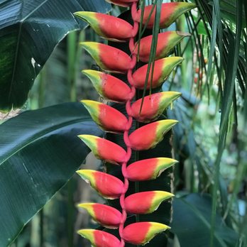 Lincoln Park Conservatory - Parks Near Me - Chicago, Illinois