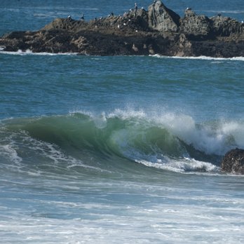 Wright's Beach Campground - Campgrounds Near Me - Bodega Bay, California