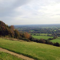 Box Hill - Great view!