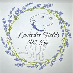 Lavender Fields Pet Spa