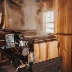 The Log Farm - Maple syrup anyone