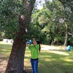 Austin's Mean Green Lawn Solutions - Team Ashley!! She's touching up with some shiny sheers. Looking green!